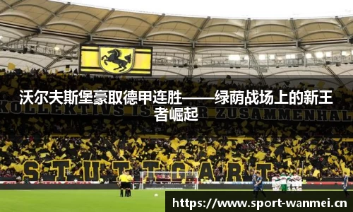 完美体育官网